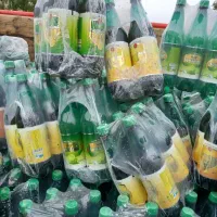 دلستر بسته ای ۱۵۰   ۶تایی