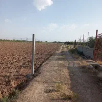 فروش زمین کشاورزی|فروش زمین و ملک کلنگی|نظرآباد, خسروآباد|دیوار