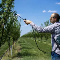 سم پاشی و علف زنی باغ و باغچه