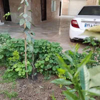 سوییت اجاره روزانه وهفتگی ویلاشهر20خوش محمدی ۱۳|اجارهٔ کوتاه‌مدت آپارتمان و سوئیت|گرگان, |دیوار