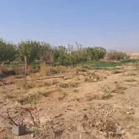 استخدام نیروی کار ساده جهت اسفراین|استخدام سرایداری و نظافت|سبزوار, قصبه شرقی|دیوار