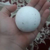 سنگ آسیاب|کلکسیون اشیاء عتیقه|ملایر, |دیوار