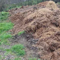 کود حیوانی مناسب نیمه خشک