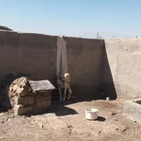 سگ ک|سگ|بیرجند, |دیوار