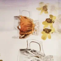 فنجان چای خوری|ظروف سرو و پذیرایی|تهران, فلاح|دیوار