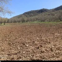 فروش زمین کشاورزی