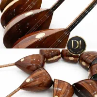 فروش قسطی در فروشگاه موسیقی