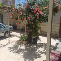 زمین در فارسان