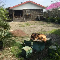 نزدیک مکانهایه تجاری تفریحی قابل تهاتر بارشت فوری|فروش خانه و ویلا|رشت, حمیدیان|دیوار