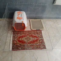 پارک و باکس سگ|لوازم جانبی حیوانات|اصفهان, باغ زیار|دیوار