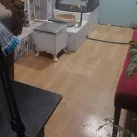 نیازمند اسپا کار