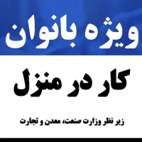 کار در منزل اینترنتی و غیر حضوری|استخدام بازاریابی و فروش|کبودرآهنگ, |دیوار