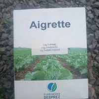 بذر چغندر قندی نیم کیلو