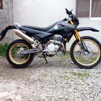 ترل پیشرو گلد 250.مدل 1404