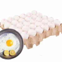 پخش تخم مرغ به قیمت عمده امروز زرده طلایی3،100،000