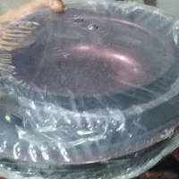 فروش ظرف زنبوری|ظروف پختوپز|دهدشت, |دیوار