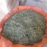 فروش یونجه درجه یک