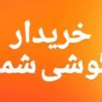 گوشی آکبند و درحدنو