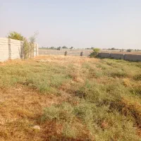 زمین باغچه|فروش دفتر صنعتی، کشاورزی، تجاری|دزفول, |دیوار