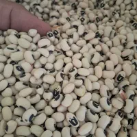 لوبیا آشی محلی(چشم بلبلی) آوردم براتون|خوردنی و آشامیدنی|کوهدشت, |دیوار