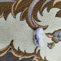 یک صدف قیمتی مناسب برای آکواریوم ن شسته شده|جواهرات|تهران, تهران‌ویلا|دیوار