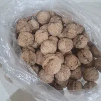 گردوی اصل ایرانی|خوردنی و آشامیدنی|تهران, چوب تراش|دیوار