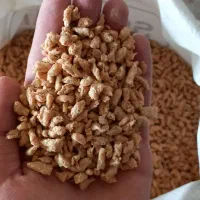 سویای سبحان|خوردنی و آشامیدنی|کاشان, ولیعصر|دیوار