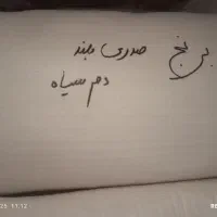 برنج صدری بلند دمسیاه(کلات نادر)|خوردنی و آشامیدنی|مشهد, توس (بلوار توس)|دیوار