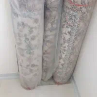 فروش فرش نو|فرش|شاهین‌شهر, عطار|دیوار
