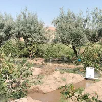 فروش زمین ۲۶۷۰ متری|فروش زمین و ملک کلنگی|آذرشهر, |دیوار