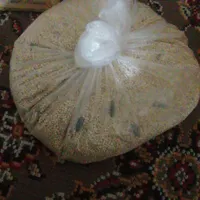 طوطی برزیلی مفت|پرنده|ساوه, |دیوار