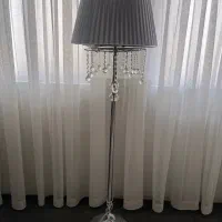 اباژور ایستاده و خز  نو