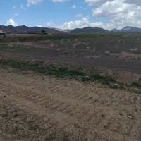 زمین-کشاورزی-برجاده-قز