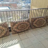 دو جفت پشتی