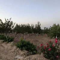باغ