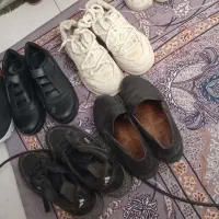 کفش و کتانی کیف نو ودرحدنو|کیف، کفش، کمربند|اندیشه, اندیشه فاز ۱|دیوار