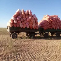 30 کیسه کاه پخل ناردی