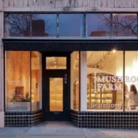 ۳۹ متر مغازه / صیاد|فروش مغازه و غرفه|گرگان, |دیوار