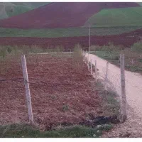 باغ بادام|فروش زمین و ملک کلنگی|جوانرود, |دیوار