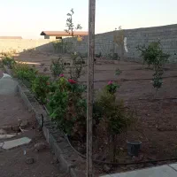 فروش باغچه