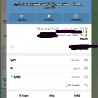 فروش چنل تلگرام به تعداد بالا|لوازم جانبی موبایل و تبلت|هشترود, |دیوار