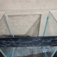 آکواریم و وسایل جانبی آکواریم|ماهی|اراک, |دیوار