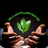 ترک و درمان اعتیاد در خانه(بدون بازگشت)