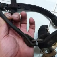 دهنی و ابشخوری برنجی روسی کامل|اسب و تجهیزات اسب‌سواری|مشهد, حرم مطهر رضوی|دیوار