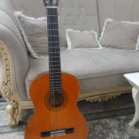 گیتار آریا Ak20