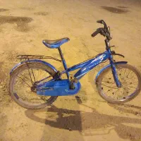 دوچرخه ۲۰ کارکرده