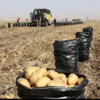 سر کارگرهستم