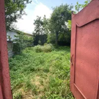 زمین-محصورشده-اقساطی-پلاک-یک-جنگل