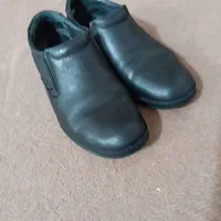 کفش سالم در حد|کیف، کفش، کمربند|بیرجند, |دیوار