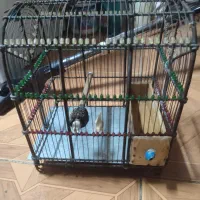 قفس سهره|لوازم جانبی حیوانات|ری, فیروزآبادی|دیوار